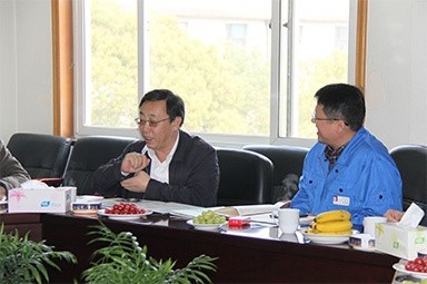 2013年3月18日，時任國家工信部節(jié)能司副司長楊鐵生一行蒞臨公司參觀指導